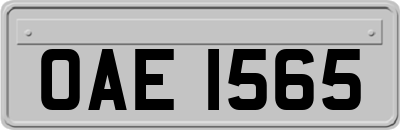 OAE1565