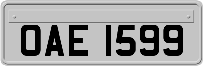 OAE1599