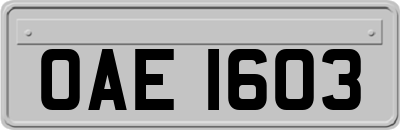 OAE1603