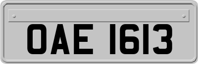 OAE1613