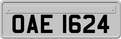 OAE1624