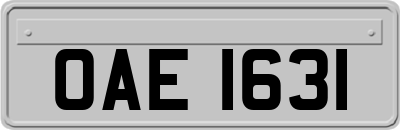 OAE1631