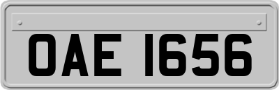 OAE1656