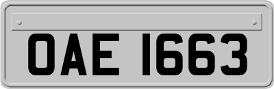 OAE1663