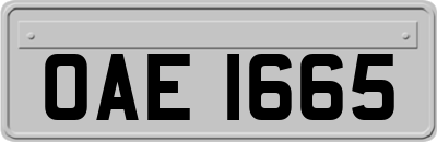 OAE1665