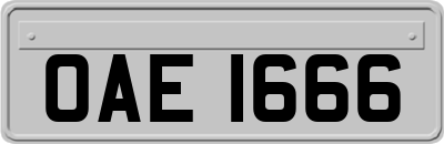 OAE1666