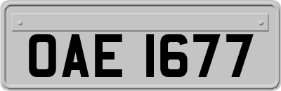 OAE1677