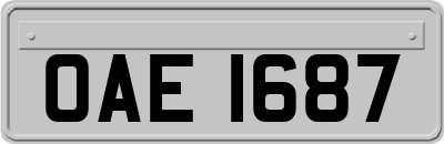 OAE1687