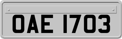 OAE1703