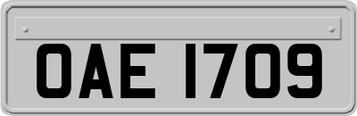 OAE1709