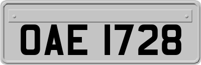 OAE1728