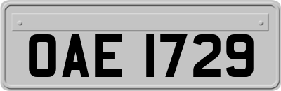 OAE1729
