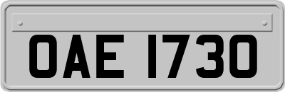 OAE1730