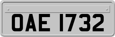 OAE1732