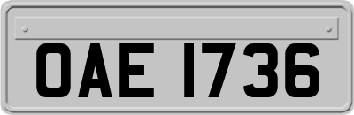 OAE1736