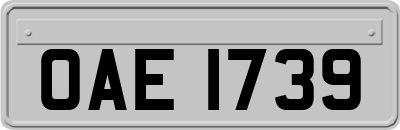 OAE1739