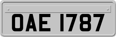 OAE1787