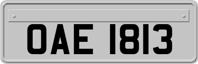 OAE1813