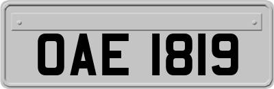 OAE1819