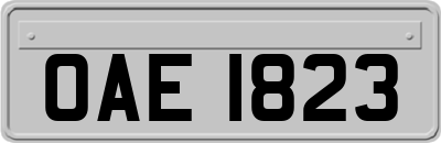 OAE1823