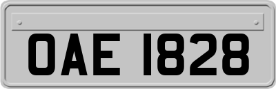 OAE1828