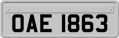OAE1863