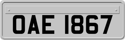 OAE1867
