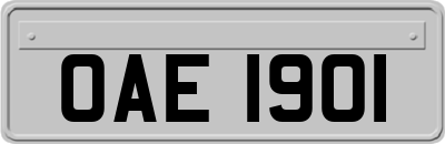 OAE1901