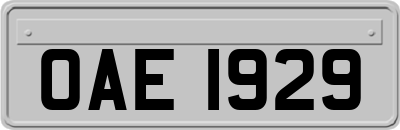 OAE1929