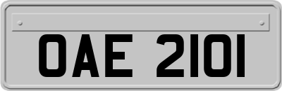 OAE2101