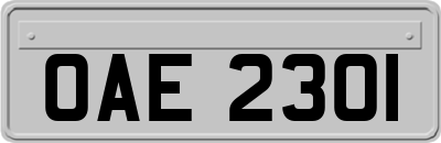 OAE2301