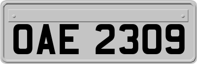 OAE2309