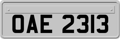 OAE2313