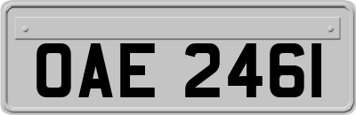 OAE2461