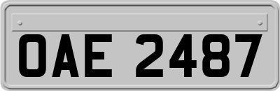OAE2487