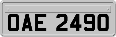OAE2490