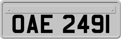 OAE2491