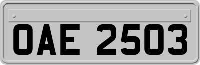 OAE2503