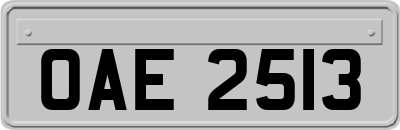 OAE2513