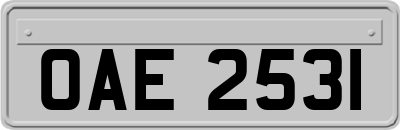 OAE2531