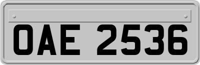 OAE2536