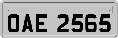 OAE2565