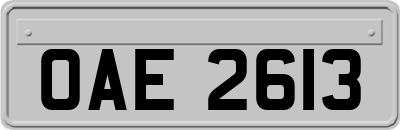 OAE2613