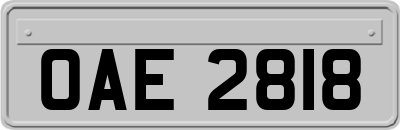OAE2818