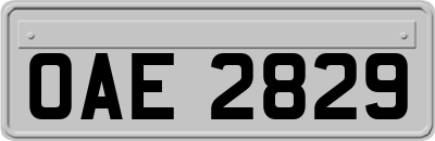 OAE2829