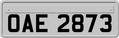 OAE2873