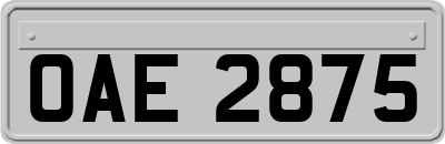 OAE2875