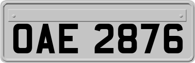 OAE2876