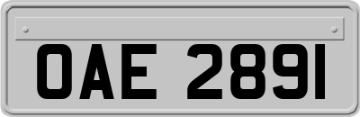 OAE2891