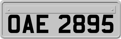 OAE2895